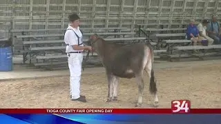 Tioga County Fair