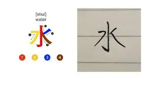 How to Write Mandarin 水 (shuĭ)  &ndash; Water character | Step by Step | Level 1 | Project Language&copy; Ltd