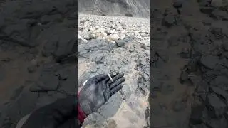 Cretaceous Age Fossil hunting - This soft mud was hiding a stunning Hibolite (Squid-Like Creature)
