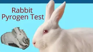 Study of Pyrogen Test for Parenteral Product by Rabbit Method using Ex-pharm Software