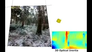 Snowy woods