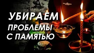 ПОРЧА НА ПАМЯТЬ 🐟⚡ ВОССТАНОВЛЕНИЕ И УЛУЧШЕНИЕ ПАМЯТИ 🐘💡
