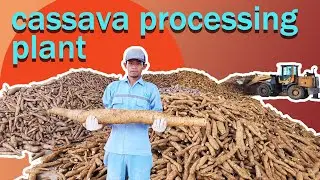 tapioca making machine tapioca starch processing equipment