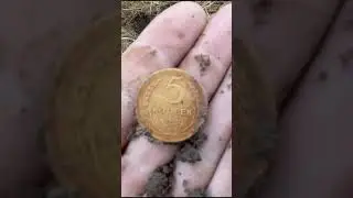 Party gold #dig #coins #USSR #search #metaldetecting #metaldetectorfinds