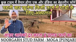 पहली बार खुलेगा किसी फॉर्म में घोड़ों के लिए अस्पताल मिलेगा पूरे इंडिया को फायदा ! (9814077486)