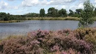 De toeristische troeven van Kalmthout in vogelvlucht