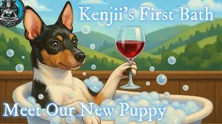 Meet Our New Puppy ❤️ Kenjii&rsquo;s First Bath Adventure