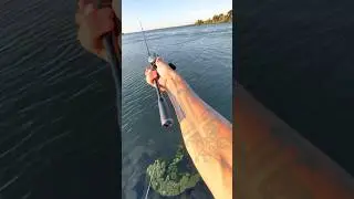 Shimano 21 AnTares DC One Hand Cast on Poison Adrena