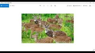 Python Pillow- Merging two images