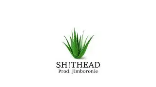 **SOLD** Nascar Aloe x Vilex Type Beat - SH!THEAD (Prod. JImboronie)