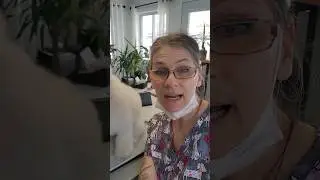 Flawless RESULTS for removing Knots in Dog Hair #shorts