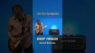 EHX Pico Deep Freeze Sound Retainer & Sustainer Pedal Demo