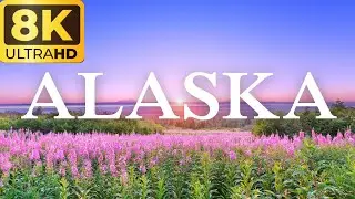 ALASKA IN 8K ULTRA HD  - EPIC VIRTUAL TOUR ✈️🏝🌿🌴 | SLEEP MUSIC