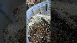 50-50,60-40 or 70-30?     Coco Coir/Perlite.