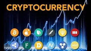 How To Buy Partial Amounts Of Bitcoin: Spread Crypto Awareness