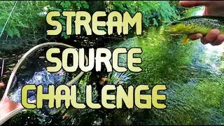Dawn Pursuit: Chasing Prime Trout