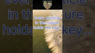 #11# Losing the key... #shorts#myriver#nature#love#
