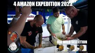 4 Amazon Expedition -  ICA Wild Selection