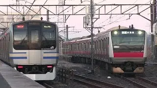 Ｅ２１７系とＥ２３３系がいる朝の成東駅