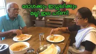 മല്ലി ഇല ചട്ണി || Mallicheppu Chutney || Coriander Chutney || Kothamalli Chutney ||