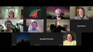 Aurorasaurus Q&A about a new mission concept