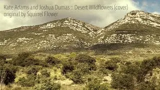 Desert Wildflowers [cover] - Kate Adams and Joshua Dumas (original by Squirrel Flower)