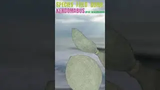 The Seafood Planet: Kendomabus #shorts #speculativefiction #nature