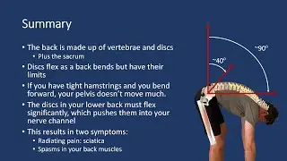 Understanding Lower Back Pain