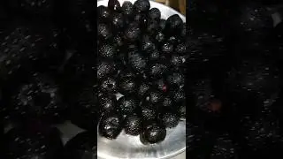 Jamun lassi | जामुन लस्सी | Lassi | Jamun #shorts #jamun #lassi #india #blackberry #fruit #beverage