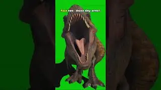 Random T-rex Facts