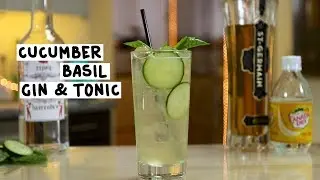 Cucumber Basil Gin & Tonic - Tipsy Bartender
