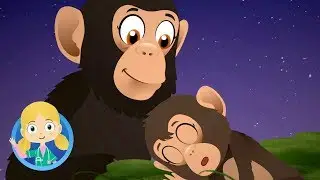 Monkey Bed Time + Other Animals | Doctor Poppy on Safari | Animal Cartoons