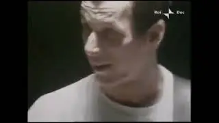 The Talking Heads, Live 1980, STAY HUNGRY