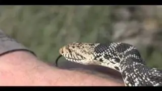 Saskatchewan clip