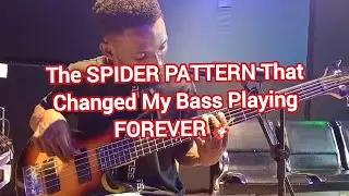 This Bass SPIDER TECHNIQUE Has Changed My approach FOREVER 🎸