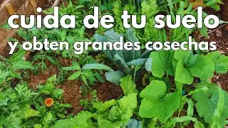 Multiplica la vida de tu suelo!! (r&aacute;pido y f&aacute;cil)