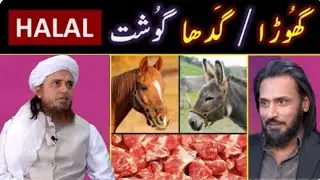  Donkey Meat Scandal ? ❤️ Reply to Sahil Adeem حفظہ اللہ on Halal & Haram ? Mufti Tariq Masood 