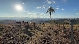 Terreno com Vista Privilegiada a 1 km do Asfalto | água | Luz | em Cambuí MG | 100% aproveitável 