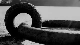 Tutorial | Black and White Photography
