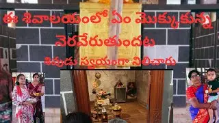 శివుడు స్వయంగా నిలిచారు🙏 ఏం మొక్కున్న నెరవేరుతుందట♥️#longvideo#viral #subscribe#support#devotional 