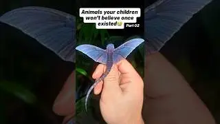 Animals your children won&rsquo;t believe once existed 😭❤️ #saveanimals #endangeredspecies