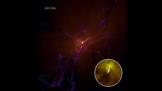 Witnessing Cosmic Dawn