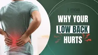 Low Back Pain Explained: Causes + Next Steps (Burlington)
