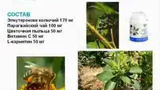 ВИЖЕН на страже мужского здоровья vip-nemo