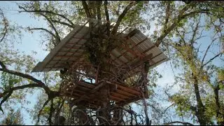 It's A Burl | Visit Grants Pass | Business Spotlight