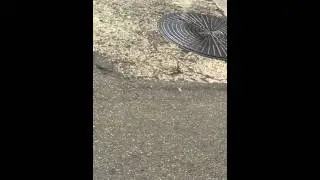 Long beach manhole explodes