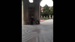 Violin relax live in Munchen  2015