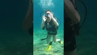 Try Dives with Dive Hub #underwater #dive #diving #divingspot #travel #diveclub #sea #gopro