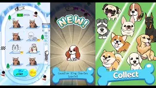 Merge Dogs - Winter Land Part 1 #gameplay #androidgame #dog #doggames #mergegames