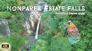 Enchanting Waterfall at Nonpareil Estate | Nonpareil Estate Falls | Ceylon Birdy | 4K 🍃❤